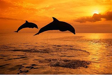 腾讯NEXT工作室《重生边缘》新预告 2022年发售